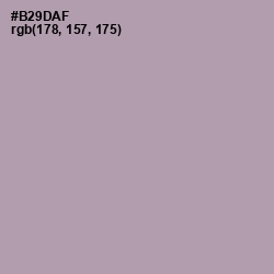 #B29DAF - Amethyst Smoke Color Image