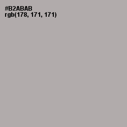 #B2ABAB - Silver Chalice Color Image