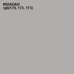 #B2ADAD - Silver Chalice Color Image