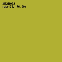 #B2B032 - Lemon Ginger Color Image