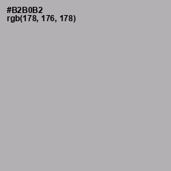 #B2B0B2 - Nobel Color Image