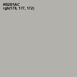 #B2B1AC - Silk Color Image