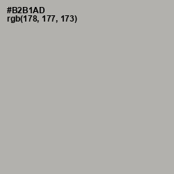 #B2B1AD - Silk Color Image