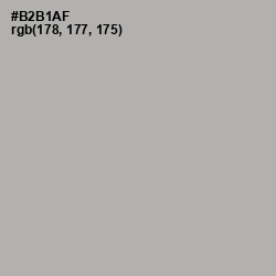 #B2B1AF - Silk Color Image