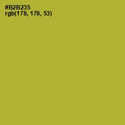 #B2B235 - Lemon Ginger Color Image