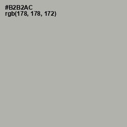 #B2B2AC - Silk Color Image