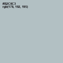 #B2C0C3 - Submarine Color Image