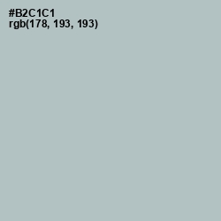 #B2C1C1 - Submarine Color Image