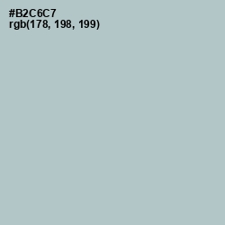 #B2C6C7 - Submarine Color Image