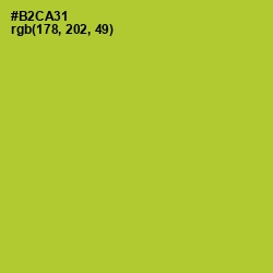 #B2CA31 - Key Lime Pie Color Image