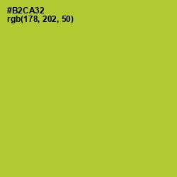 #B2CA32 - Key Lime Pie Color Image