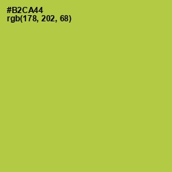 #B2CA44 - Conifer Color Image