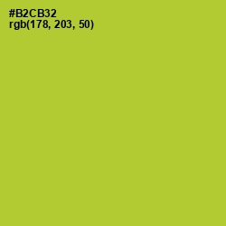 #B2CB32 - Key Lime Pie Color Image