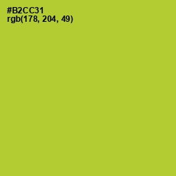 #B2CC31 - Key Lime Pie Color Image