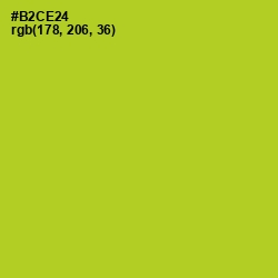 #B2CE24 - Key Lime Pie Color Image