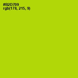 #B2D709 - Rio Grande Color Image