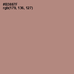 #B3887F - Sandrift Color Image