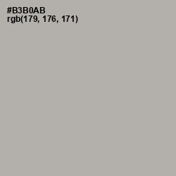 #B3B0AB - Silk Color Image