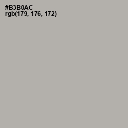 #B3B0AC - Silk Color Image
