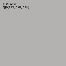 #B3B2B0 - Nobel Color Image