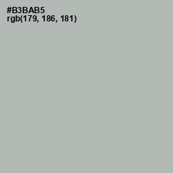 #B3BAB5 - Nobel Color Image