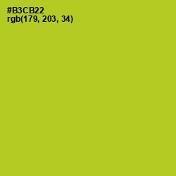 #B3CB22 - Key Lime Pie Color Image