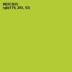 #B3CB35 - Key Lime Pie Color Image