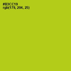 #B3CC19 - La Rioja Color Image