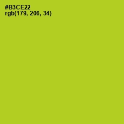 #B3CE22 - Key Lime Pie Color Image