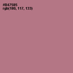 #B47585 - Turkish Rose Color Image