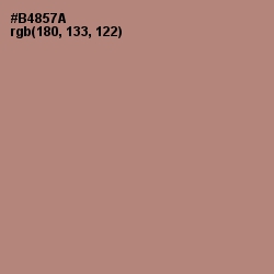 #B4857A - Sandrift Color Image