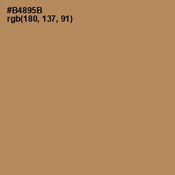 #B4895B - Muddy Waters Color Image