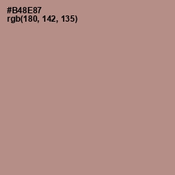 #B48E87 - Brandy Rose Color Image