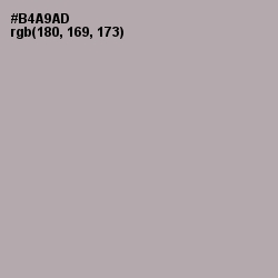 #B4A9AD - Silver Chalice Color Image