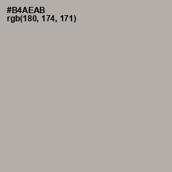 #B4AEAB - Nobel Color Image