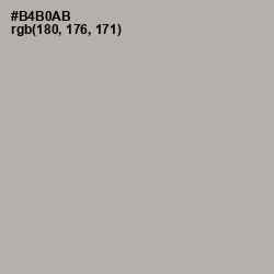 #B4B0AB - Silk Color Image