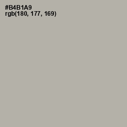 #B4B1A9 - Silk Color Image