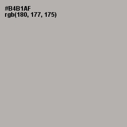 #B4B1AF - Silk Color Image