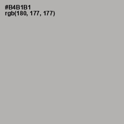 #B4B1B1 - Nobel Color Image