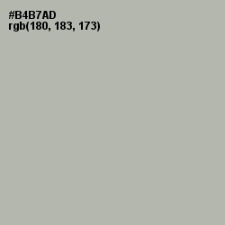 #B4B7AD - Eagle Color Image