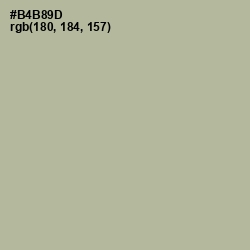 #B4B89D - Heathered Gray Color Image