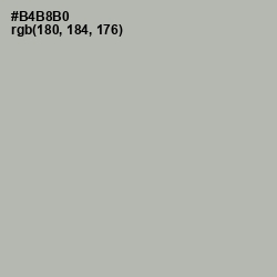 #B4B8B0 - Nobel Color Image