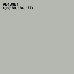 #B4B8B1 - Nobel Color Image