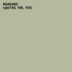 #B4BA9E - Heathered Gray Color Image