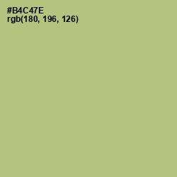 #B4C47E - Wild Willow Color Image