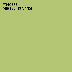 #B4C573 - Wild Willow Color Image
