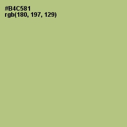 #B4C581 - Feijoa Color Image