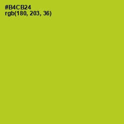 #B4CB24 - Key Lime Pie Color Image