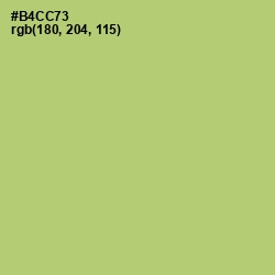 #B4CC73 - Wild Willow Color Image