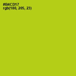 #B4CD17 - La Rioja Color Image
